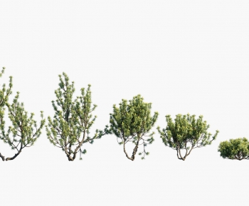 Modern Tree-ID:751630076