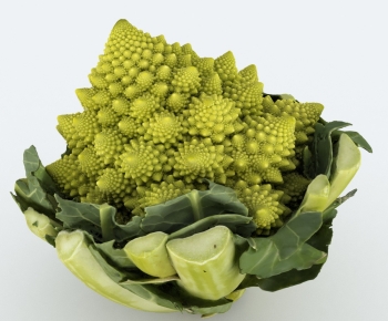 Modern Vegetables-ID:408721925