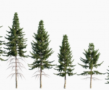 Modern Tree-ID:732474095