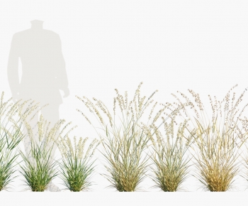 Modern Flowers And Grass-ID:503413926