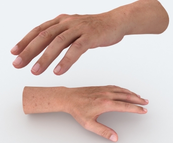 Modern Human-ID:368752003