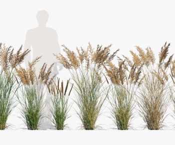 Modern Flowers And Grass-ID:819854977