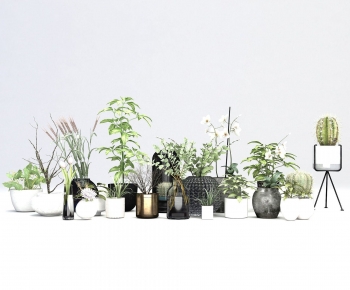 Nordic Style Potted Green Plant-ID:736409906