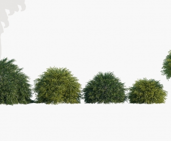 Modern Shrubbery-ID:759144078