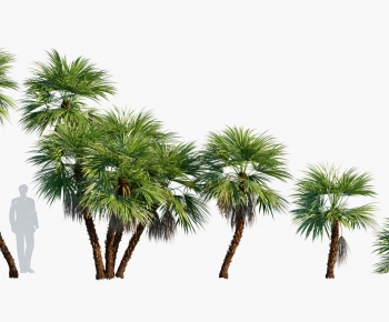 Modern Tree-ID:654005054