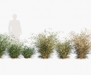 Modern Flowers And Grass-ID:821950424