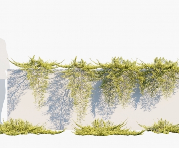 Modern Plant-ID:907630923