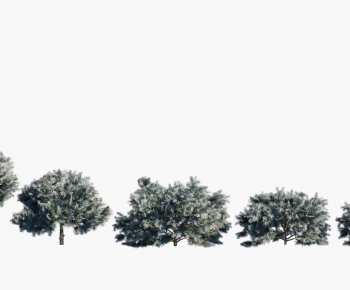 Modern Tree-ID:841411116