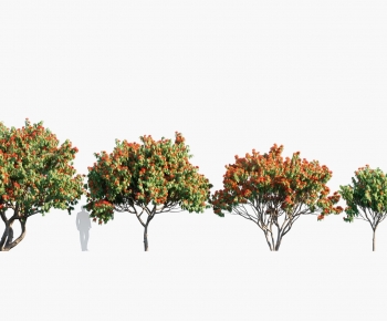 Modern Tree-ID:754308942