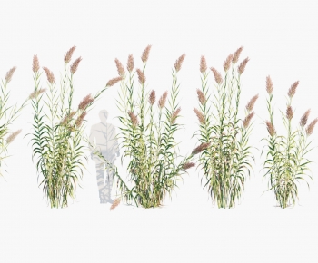 Modern Tree/shrub/grass-ID:656759744