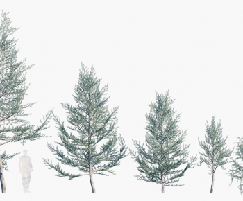 Modern Tree-ID:901555068