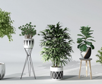 Modern Potted Green Plant-ID:879467016