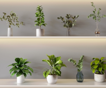 Modern Desktop Plant-ID:946199942