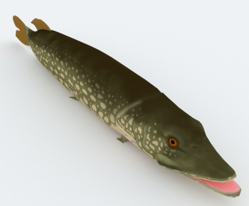 Modern Aquatic Animals-ID:457406044