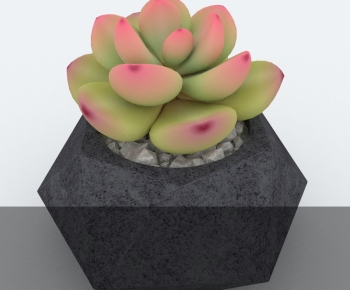 Modern Potted Green Plant-ID:461508043