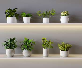 Modern Desktop Plant-ID:754530467