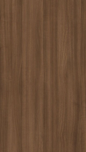 ModernWood Texture