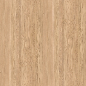 ModernWood Texture