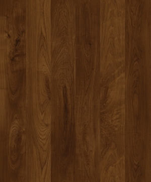 ModernWood Texture