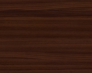ModernWood Texture