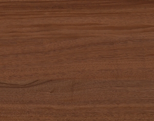 ModernWood Texture