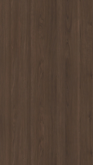 ModernWood Texture