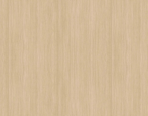 ModernWood Texture