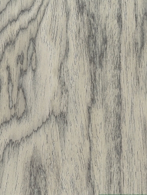 ModernWood Texture
