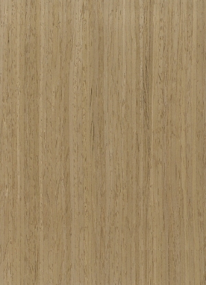 ModernWood Texture