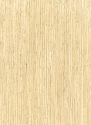 ModernWood Texture