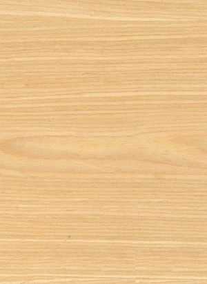 ModernWood Texture
