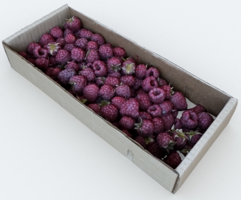 Modern Fruit-ID:359419117