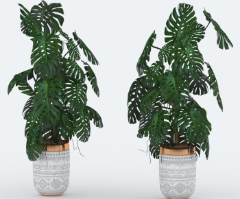 Modern Ground Green Plant Potted Plants-ID:975725898