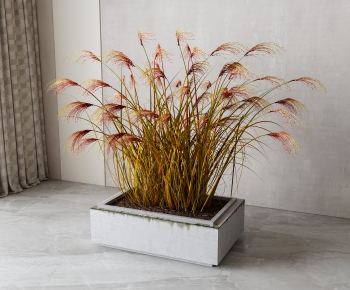 Modern Flower Bed, Flower Bowl, Flower Box-ID:872451073