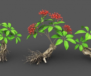 Modern Plant-ID:922958982