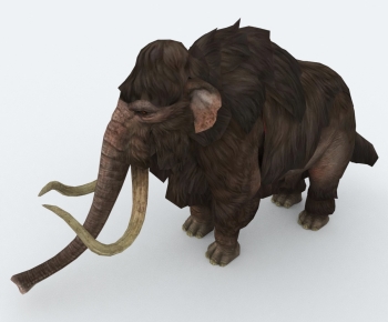 Modern Reptile-ID:223479366