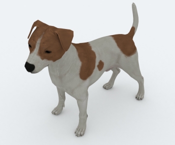 现代狗-ID:818857911