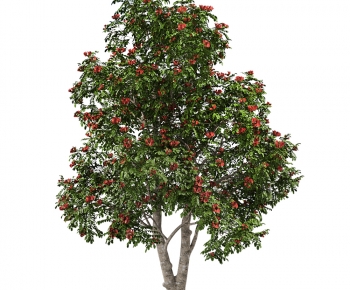 Modern Tree-ID:609659912