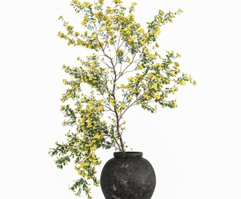 Modern Ground Green Plant Potted Plants-ID:573263886