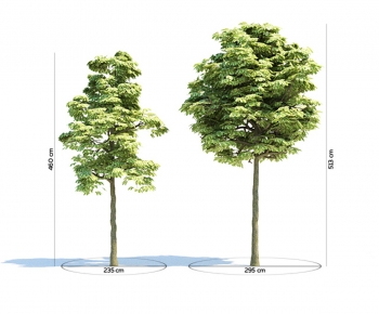 Modern Tree-ID:281546123