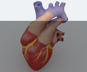 Modern Medical Equipment-ID:925920015