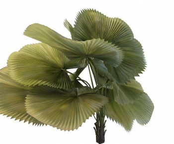 Modern Tree-ID:169723996