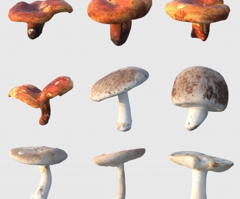 Modern Vegetables-ID:630393987