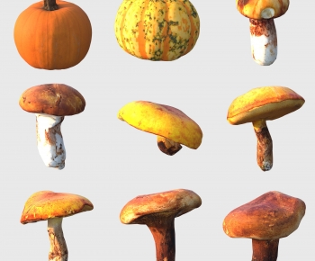 Modern Vegetables-ID:315069912