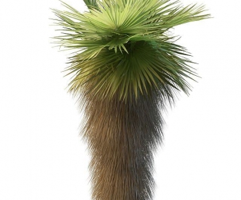 Modern Tree-ID:643407113