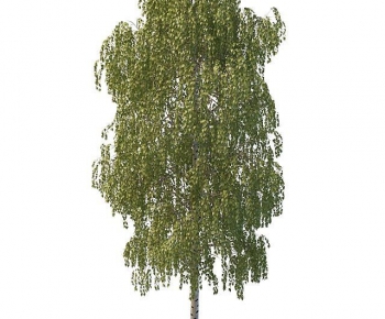 Modern Tree-ID:520235062