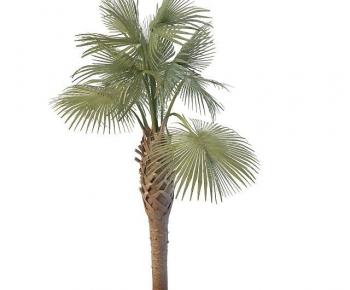 Modern Tree-ID:714447027