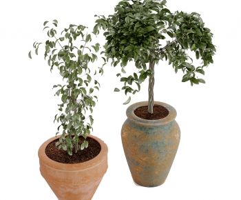 Modern Ground Green Plant Potted Plants-ID:611471898