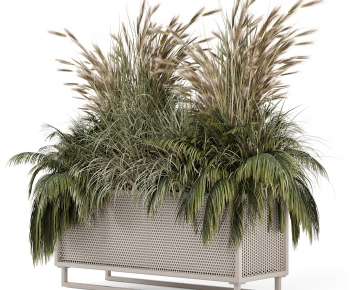 Modern Flower Bed, Flower Bowl, Flower Box-ID:792970905