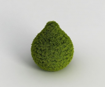 Modern Shrubbery-ID:927171958